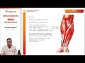 CB25 AH 2 5 MIEMBRO SUPERIOR CODO mp4