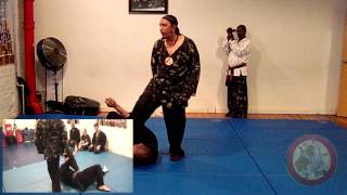 Sanuces Ryu Jujitsu Technique - Shock & Throw