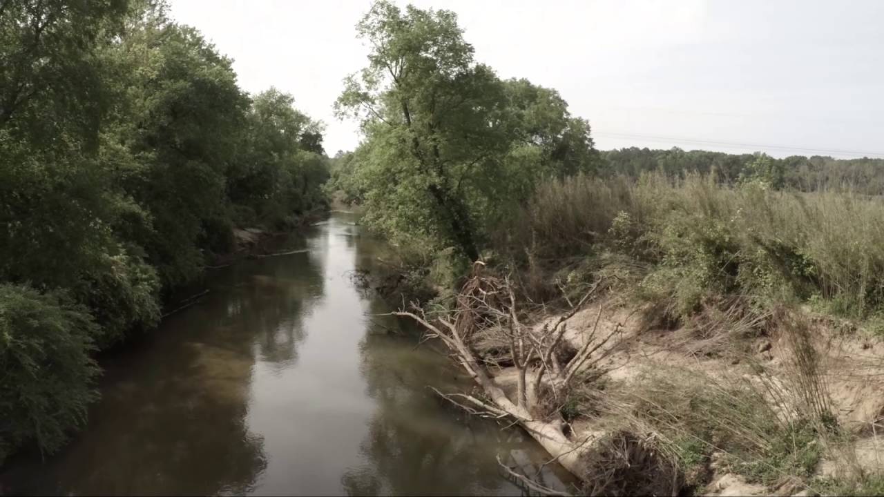 South River canebreak