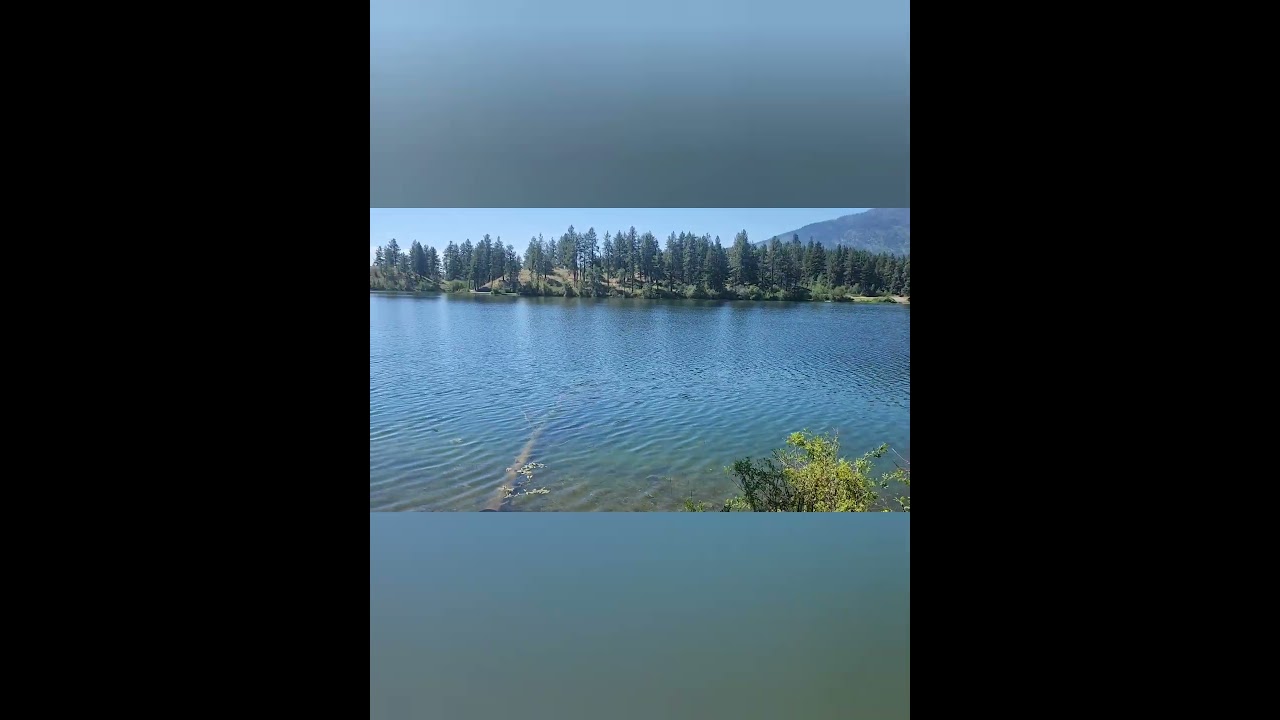 Happy Canada Day 🇨🇦                    Music: Get On ItMusician: Figure and Groove