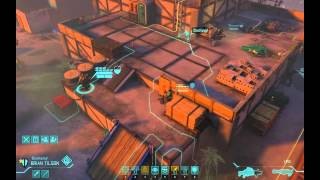 XCOM Enemy Unknown: Alien Abduction