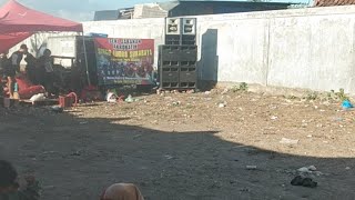 Jaranan Singo Ludro Live Babat Jerawat Surabaya