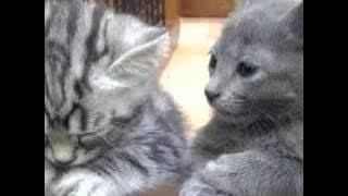 Detty Kurnia-Darso - Saha nu Lepat