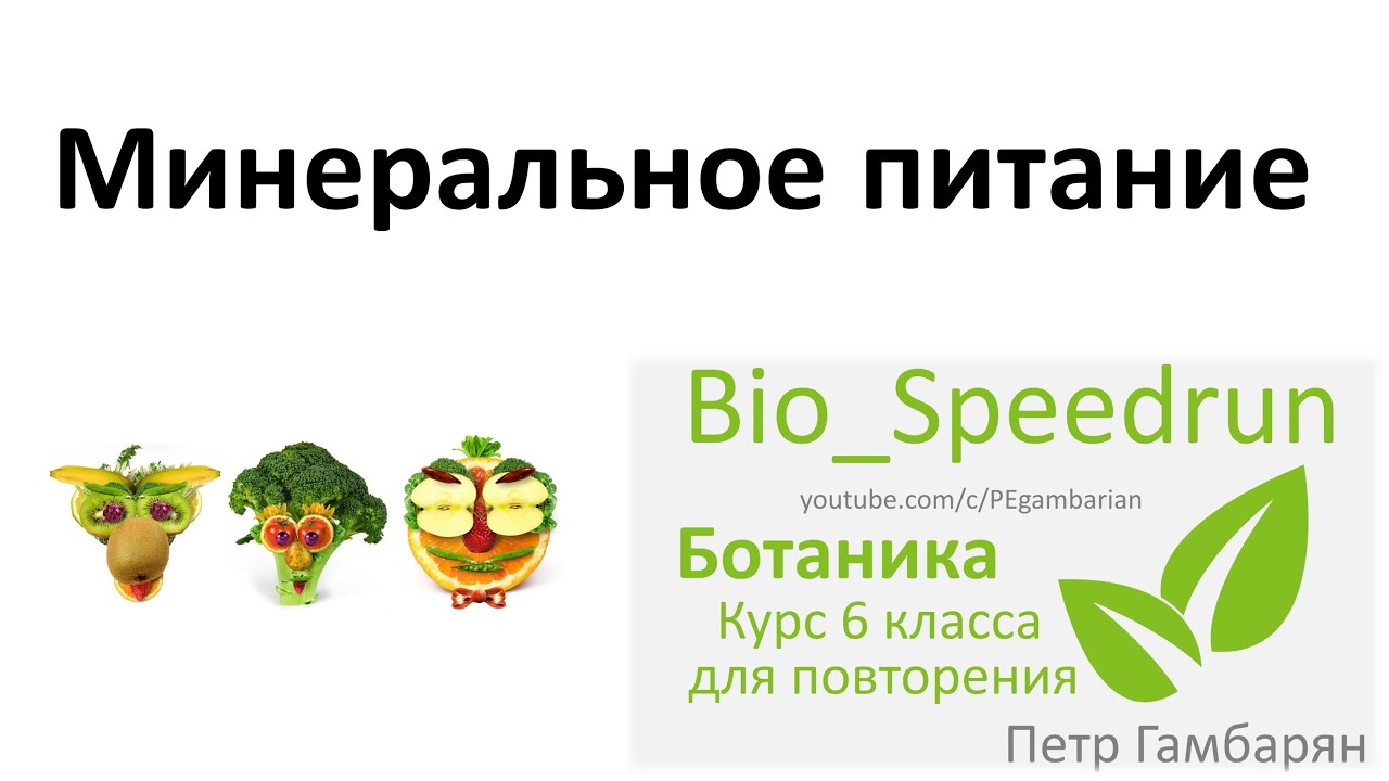 Ботаника 6 класс. Ботаника 6 класс Узбекистан. Ботанические науки 6 класс. Тест по минеральному питанию растений. Синонимы термина минеральное питание в ботанике