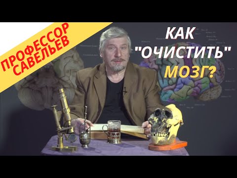 Профессор Савельев - как "очистить" мозг?