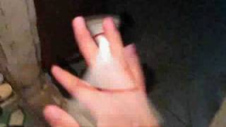 MVI 0059 output