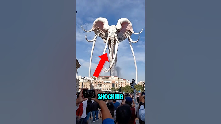 Top 5 Most Shocking Creature Phenomena In The World 😱🫣