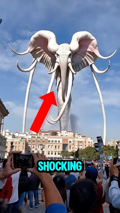 Top 5 Most Shocking Creature Phenomena In The World 😱🫣