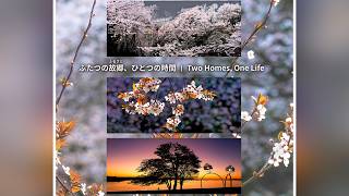 Koichi Saito Photo Exhibition in Ueda, Japan 🇯🇵 Spring 2026