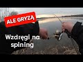 Wzdręgi na spining | Wiosenny Ultralight - Wędkarstwo 2022