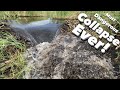Most Dangerous Beaver Dam COLLAPSE EVER!