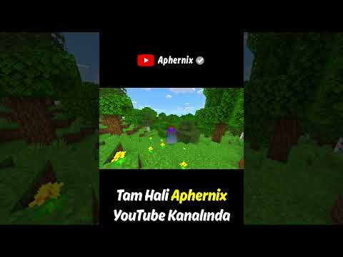Minecraft'a Eklenmesi Gereken Şeyler - Part 6