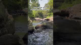 Sala Sala ena odum   #song #tamil #evergreenhits #oldsong  #whatsappstatus