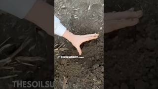 Is your ENTIRE farm healthy? | The Soil Summit #regenerativeagriculture
Join us for THE SOIL SUMMIT: REVIVE YOUR SOIL
https://www.heartandsoilmagazine.com/thesoilsummit
Affordable, profitable, regenerative tips for farming & gardening.
👇🏽 ASK YOUR QUESTIONS IN THE COMMENTS!
20 sessions over 4 days
🗓️ FEBRUARY 3-6
The Soil Summit • Revive Your Soil Speakers include Dr Elaine Ingham, Chris Trump, Robby Gass, Chris Boettcher, Hans Forstbauer, John Kempf, John Bradshaw, Brooke Hayes, Stewart Lundy, Allen Clements, Laura Decker, Ben Raskin, Lynn Fang, Swami Valmiki, Bob Garthson, Jesse Wiser, and more!
Hosted by Heart & Soil
We help you farm and garden better.
#regenerativeagriculture
#farminglife
#heartandsoilmagazine
#biodynamicfarming Is your ENTIRE farm healthy? | The Soil Summit #regenerativeagriculture