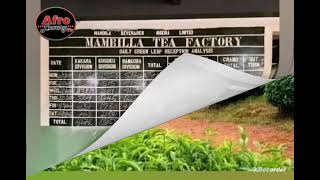 Mambilla Plateau Highland Tea