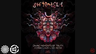 Shpongle - Divine Moments of Truth (Astrix, LOUD & LSD Remix)
