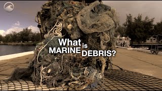 What is Marine Debris?