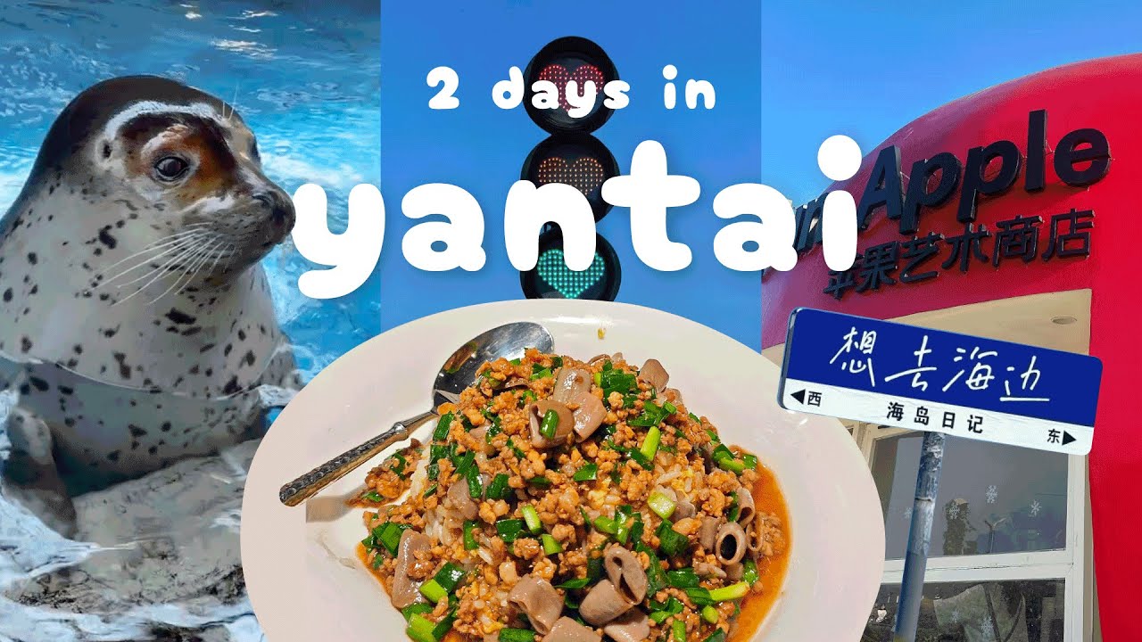 1박 2일 중국 옌타이 자유여행 몰아보기 🇨🇳 토마토만두·물범밥주기·연태와인박물관·택시기사님 추천 연태 찐맛집·사과카페 vlog