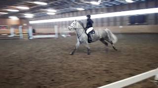 Rivendell Seuranmestaruudet 2015 Perusrata