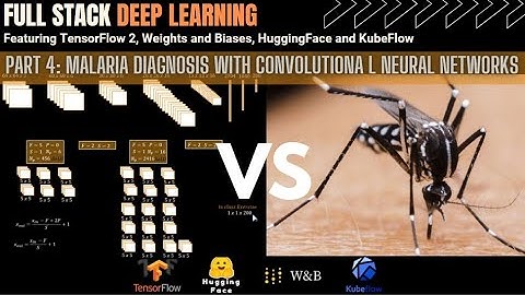Malaria Diagnosis with Convolutional Neural Networks - Full Stack Deep Learning,TensorFlow 2, WandB