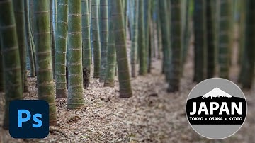 New Features to Libraries and Adobe Stock in Photoshop CC 2017 | Adobe Photoshop