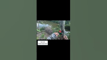 Ná bắn cá V3 tầm xa #nabanca #nobanca #sungbanca