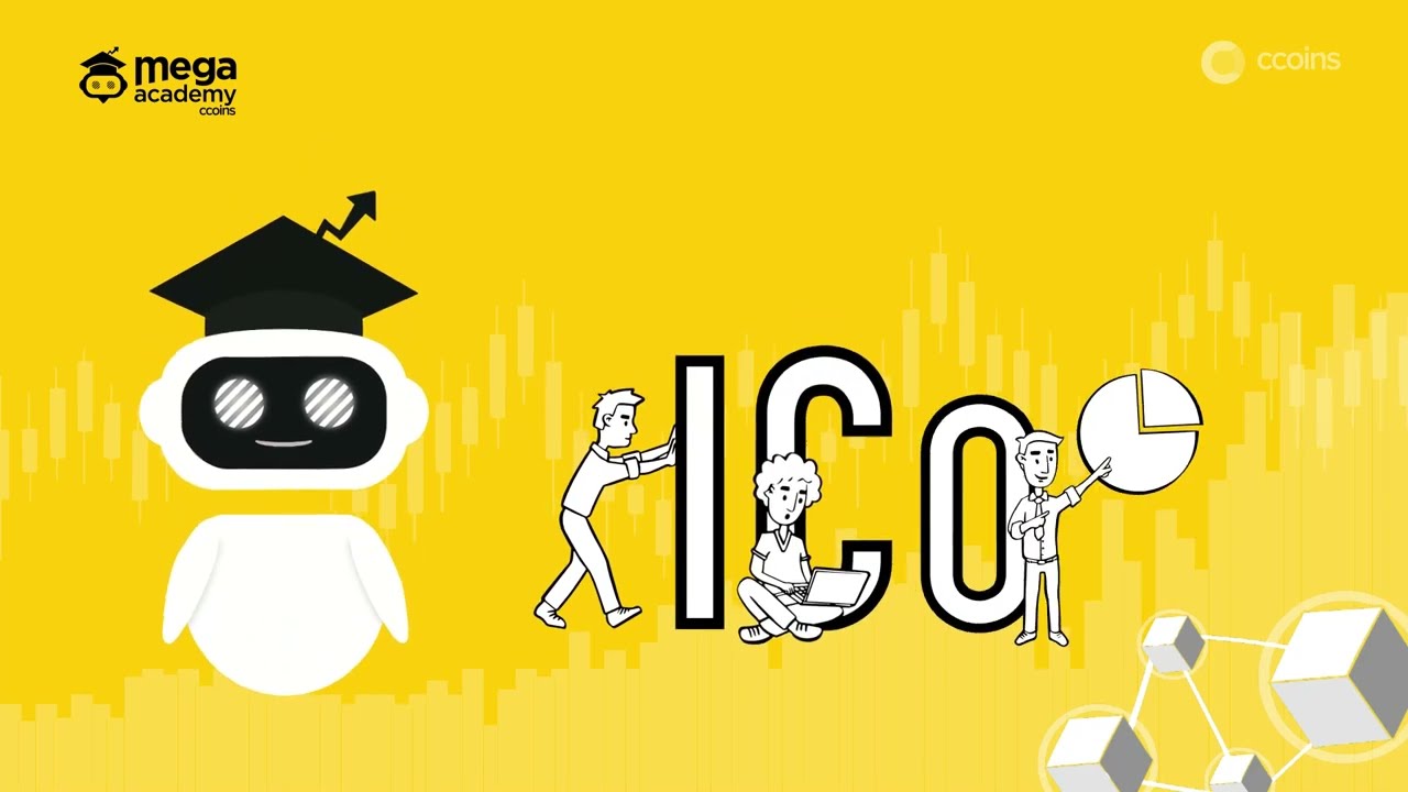 What is MegaAcademy - Course offer and content