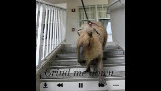 Download lagu Lilianna Wilde- Grind Me Down (speed up)