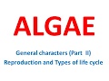 Algae General character Part-II (Reproduction and Life cycle), #algae  reproduction in algae