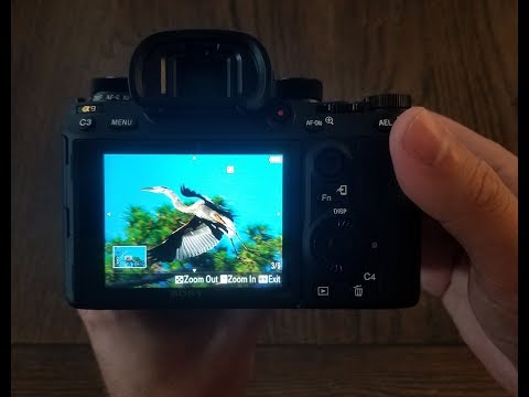 Sony A9 Digitally Digested Review (RIP DSLR)