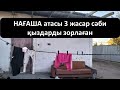 НАҒАШЫ атасы айуандық жасаған