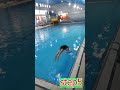 چالش فاصله شیرجه زدن شنا Swimming تکنیک تمرین Sports رژیمی کلیپ سلامتمو فان چالش فاصله شیرجه زدن شنا Swimming تکنیک تمرین Sports رژیمی کلیپ سلامتمو فان