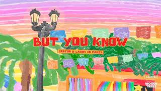 Ginton & LAGOS IN PARIS - But You Know (Official Lyric Video)