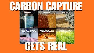 Microwave Direct Air Capture Finally Makes Carbon Removal Affordable