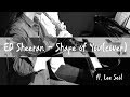 Shape of you - Ed Sheeran cover (for Flute & Piano) 이설 Jenny Lee