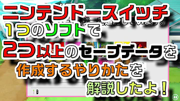 ポケモンセーブデータ ポケモンセーブデータ