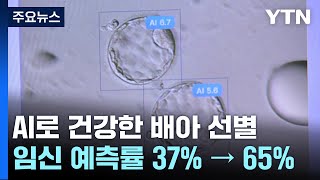 사람 눈 대신 AI로 건강한 배아 더 정확히 골라낸다 / YTN