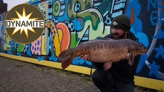 Mike Bridges Carp Fishing Season on The Wharf with Hot Crab & Krill Boilies