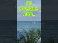 #감사합니다#존경합니다#119대원#소방관#자원봉사자