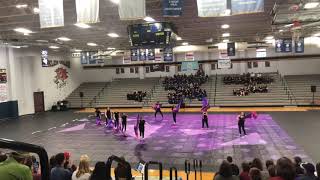 Manvel HS JV Winter Guard 2020