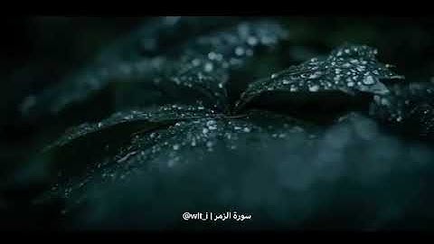 تلاوة القارئ : عمر الدريويز | اللَّهُ خَالِقُ كُلِّ شَيْءٍ وَهُوَ عَلَىٰ كُلِّ شَيْءٍ وَكِيلٌ