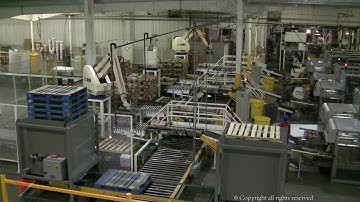 Fuji Robotics Bag Palletizing