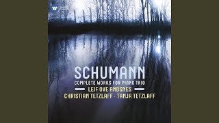 Piano Trio No. 3 in G Minor, Op. 110: III. Rasch