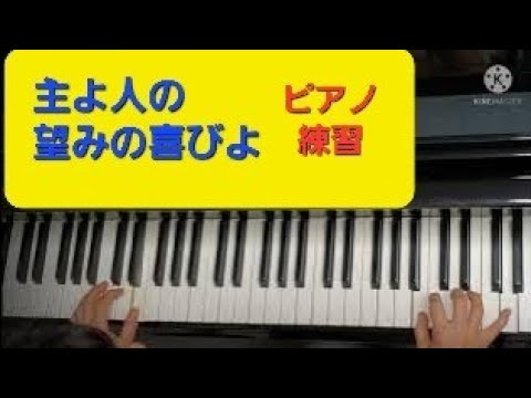 【専用売約済】ワイセンベルク／バッハ：主よ、人の望みの喜びよ（ピアノ小品集） Amazon.co.jp: バッハ:主よ、人の望みの喜びよ(ピアノ曲集