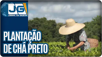 Como se faz o chá preto?