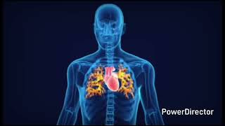Why cell is called structural and functional unit of life? Cell Ko structural and functional unit?? 