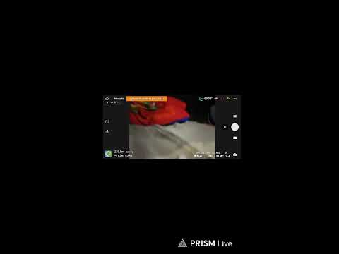 Transmisión en directo de AbregorGregorio