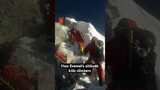 Disastrous Effects of Altitude on Climbers #shorts