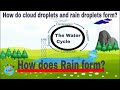 How does Rain form? The Water Cycle | How is rain  formed?