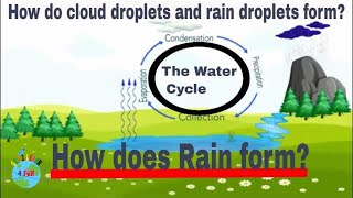 How does Rain form? The Water Cycle | How is rain  formed?
